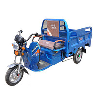 电动三轮车品牌排行