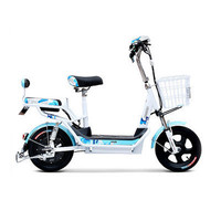 电动自行车品牌排行