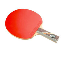 乒乓球拍品牌排行
